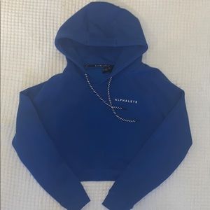 Alphalete Athletics Cropped Hoodie